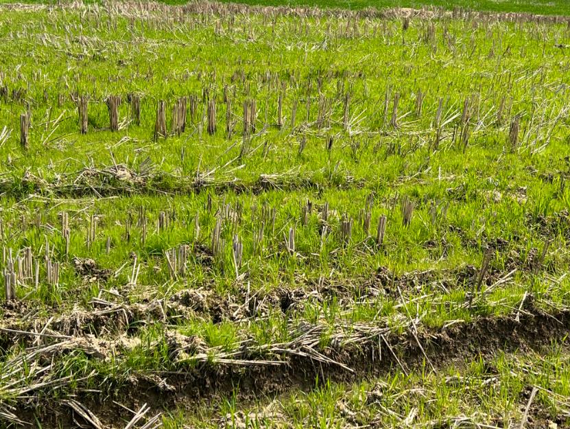 农业农村部等七部门部署2026年春耕备耕农资打假工作